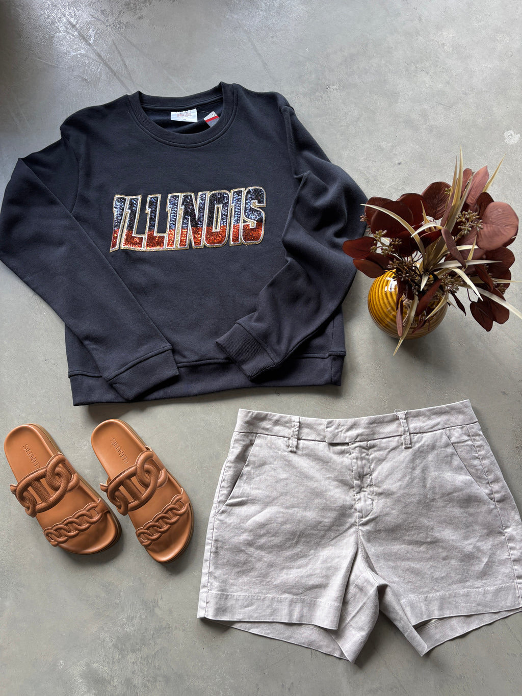 Illinois Navy Crewneck
