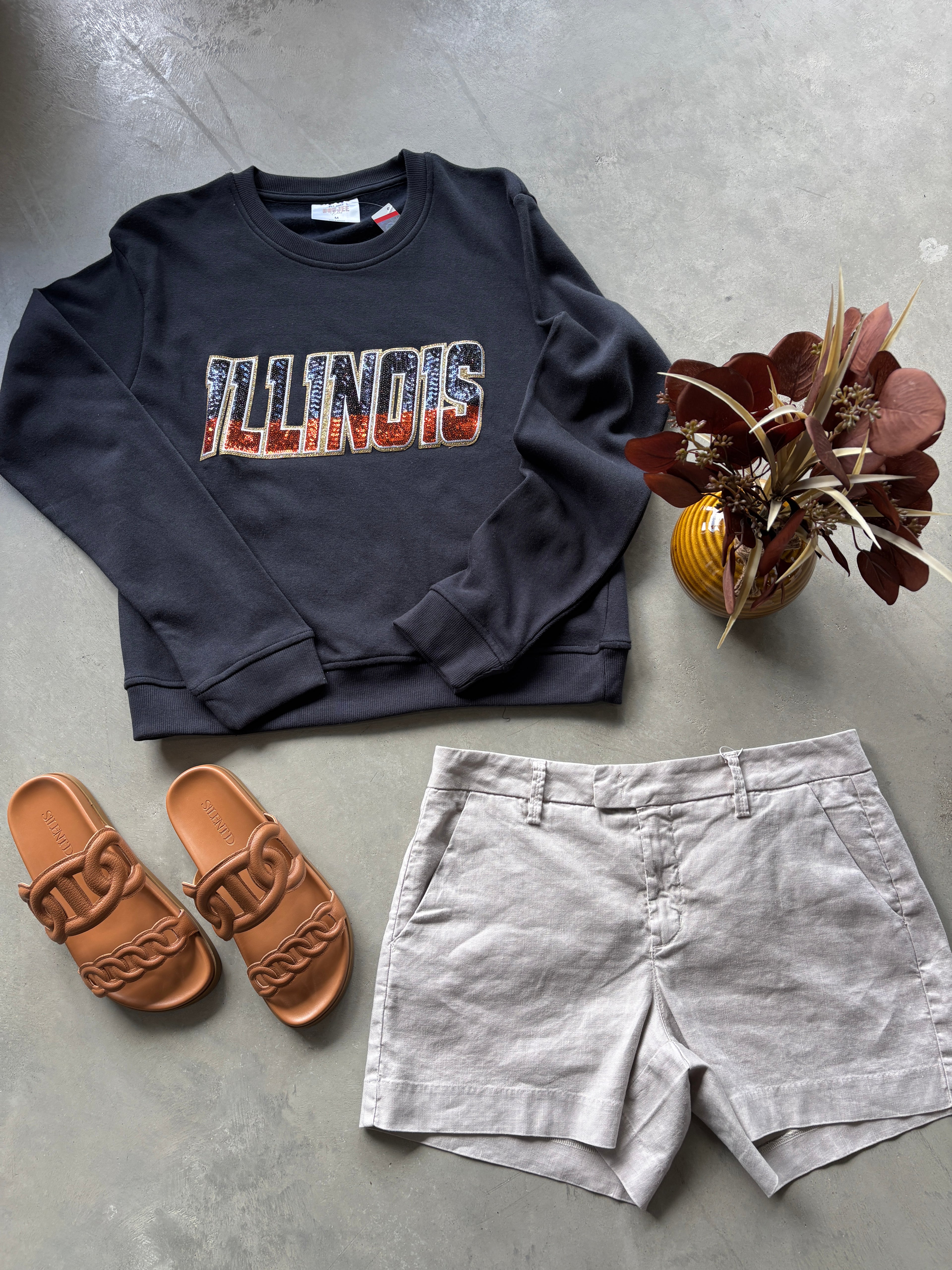 Illinois Navy Crewneck