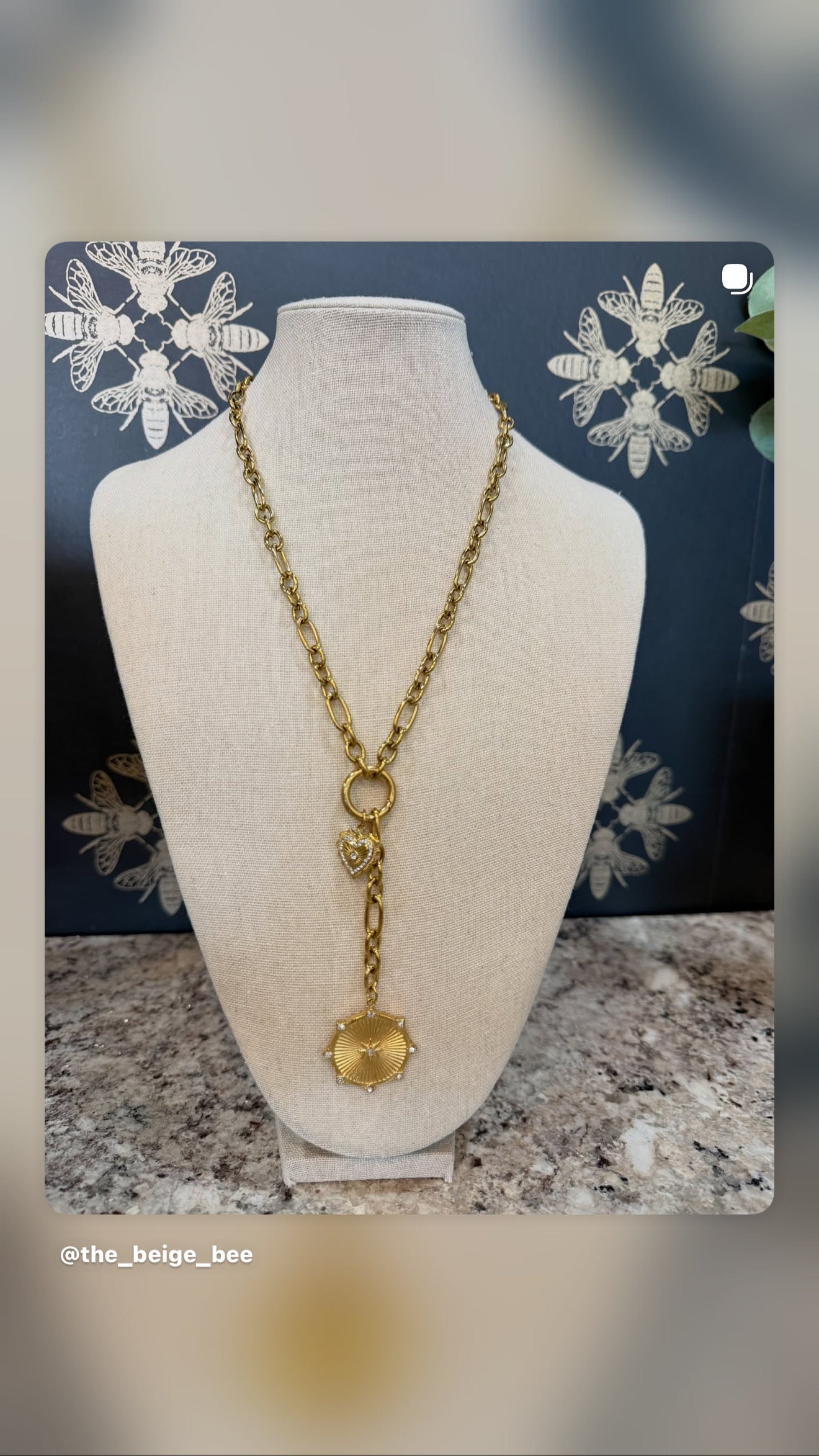 Linden Medallion Lariat Necklace