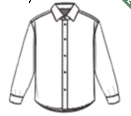 TW229-Gisele - cotton poplin slim fit button down